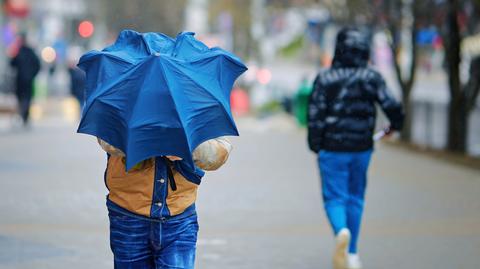 Prognozowana temperatura na kolejne dni