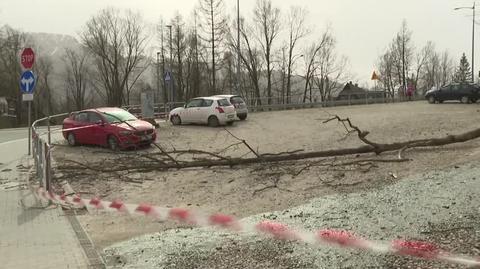 Drzewo śmiertelnie raniło chłopca w Zakopanem