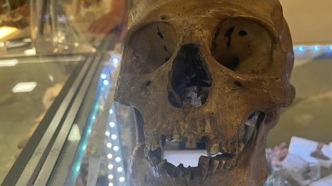 Biuro szeryfa hrabstwa Lee opublikowało zdjęcia czaszki znalezionej w sklepie