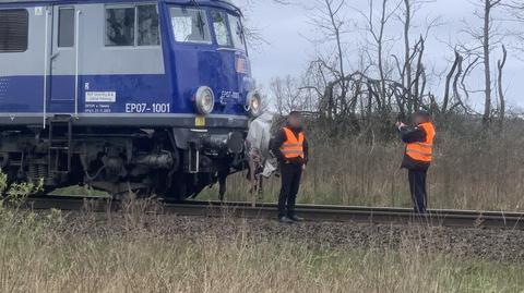 Kierowca samochodu zginął po zderzeniu z pociągiem
