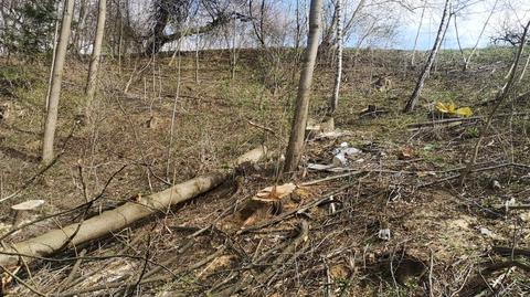 Tragiczny wypadek podczas wycinki drzew. W Karwodrzy lądował śmigłowiec LPR