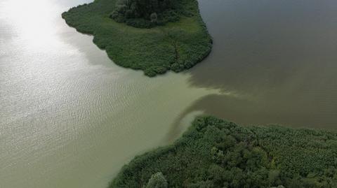 Kujawsko-Pomorskie. Zanieczyszczone jezioro Gopło
