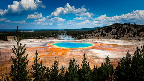 Gejzer Giantess w Parku Narodowym Yellowstone (materiał archiwalny)