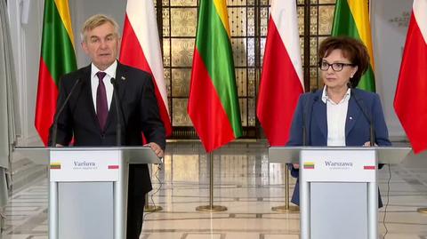 Przewodniczący litewskiego Seimasu: na Białorusi podnosi się demokracja, na Białorusi podnosi się rewolucja
