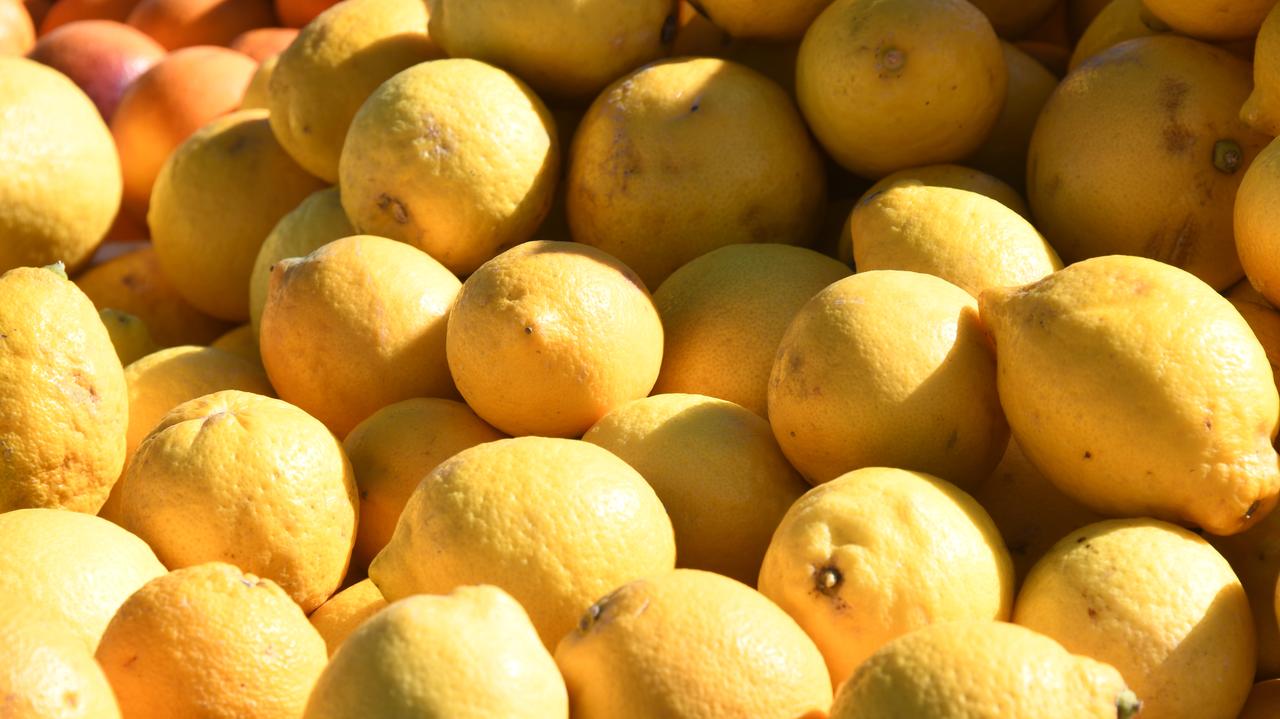 España.  Se desharán de 400 mil toneladas de limones.  «La producción está fuera de control»