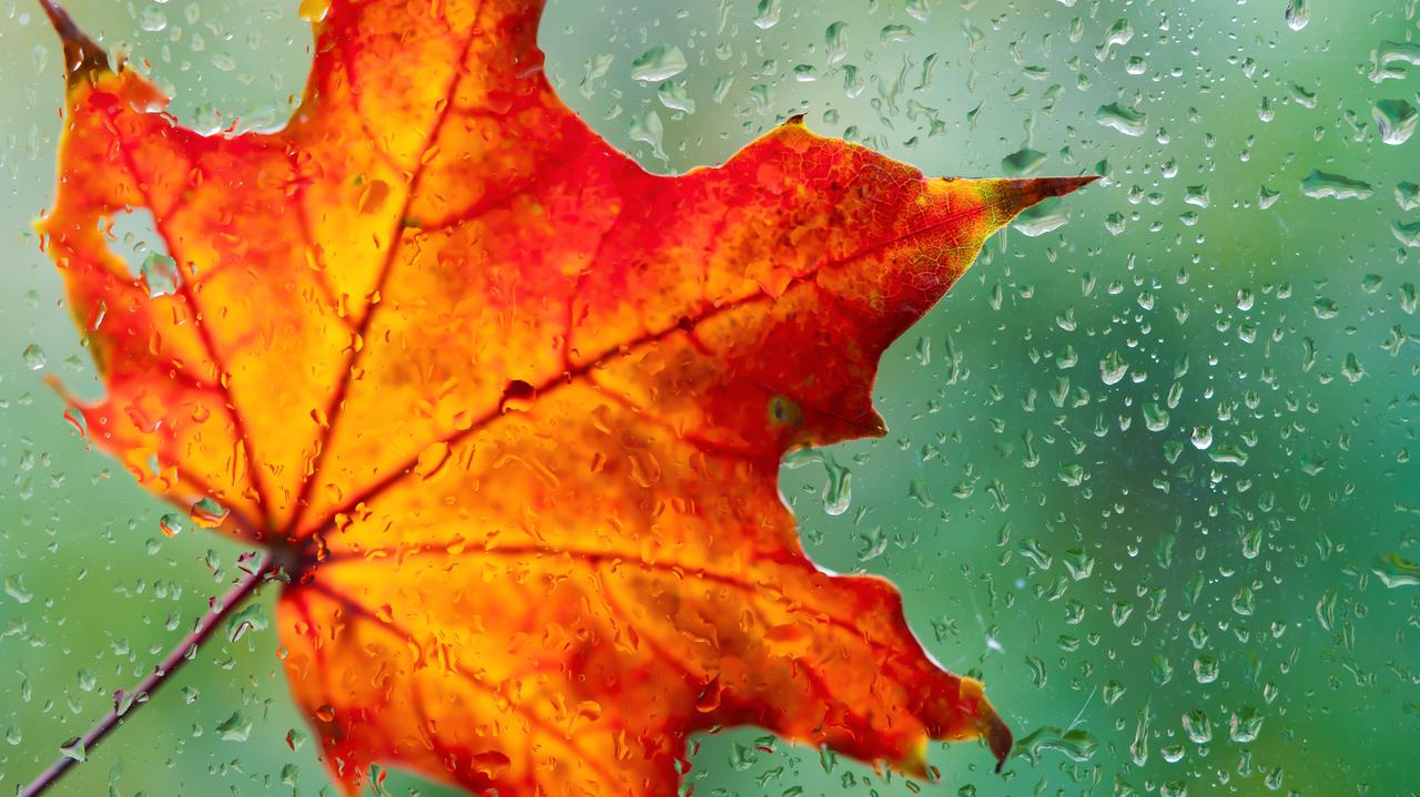 Pogoda na jutro - środa, 29.10. Przejaśni się i rozpogodzi. Uwaga na wiatr