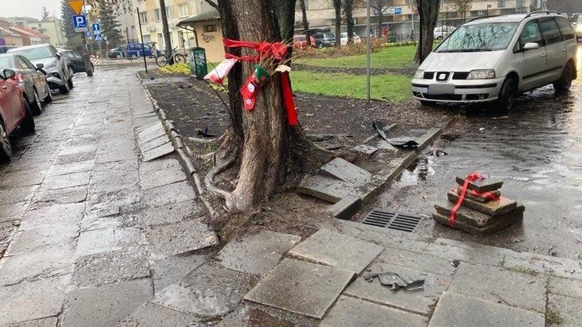 "Elfy" zerwały z korzeni drzewa betonowe płyty i zostawiły rózgę dla urzędników