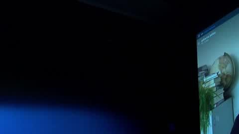 0403N300XRR PIS DNZ RYDZEK