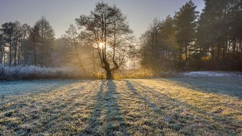 Ważna jest nie tylko temperatura powietrza