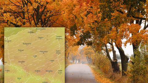 Prognoza temperatury na kolejne dni