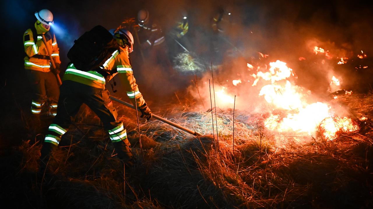 Polish firefighters head to Spain to fight wildfires with axes and chainsaws