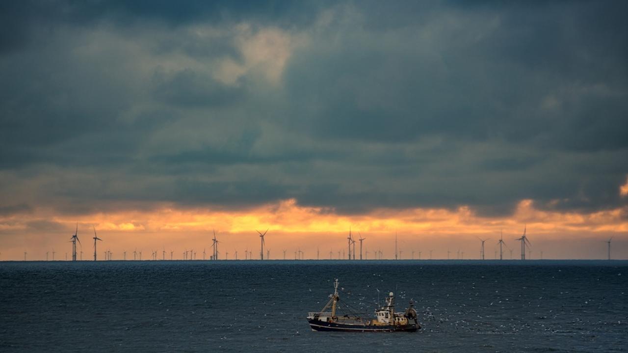 Rekordowe 21,5°C w Morzu Północnym. Naukowcy ostrzegają przed skutkami