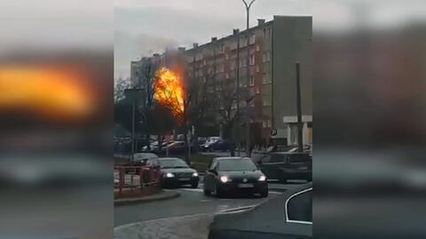 Wybuch butli gazowej w mieszkaniu w Zambrowie