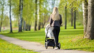 800 plus może zostać wstrzymane. Zakład Ubezpieczeń Społecznych ostrzega