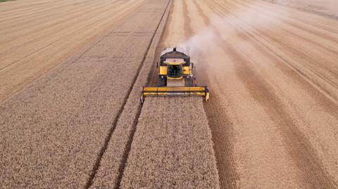 Nasila się problem suszy hydrologicznej w Polsce. "To jest jeden z symptomów zmiany klimatu"