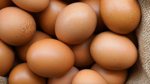 Obalony mit wysokiego cholesterolu w jajkach