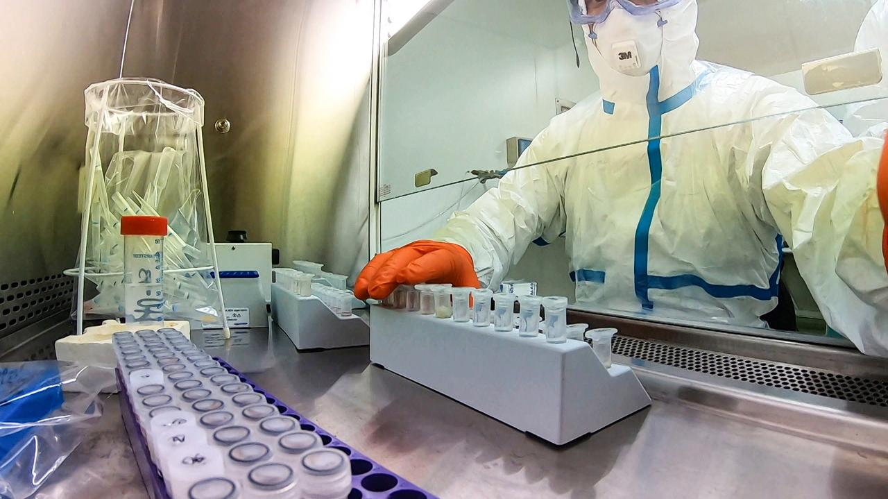 Pierwszy w Polsce potwierdzony przypadek zakażenia nową mutacją koronawirusa 
