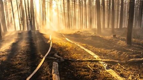 Susza w Polsce, IMGW wydaje ostrzeżenie przed suszą hydrologiczną