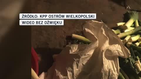 KPP Ostrów Wielkopolski 
