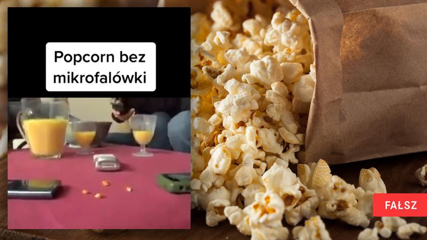 Niedźwiedź z wyrwanymi pazurami i karmiony popcornem uratowany z cyrku (materiał z lipca 2016 roku)