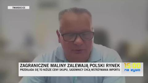 Prezes Związku Sadowników RP o imporcie malin