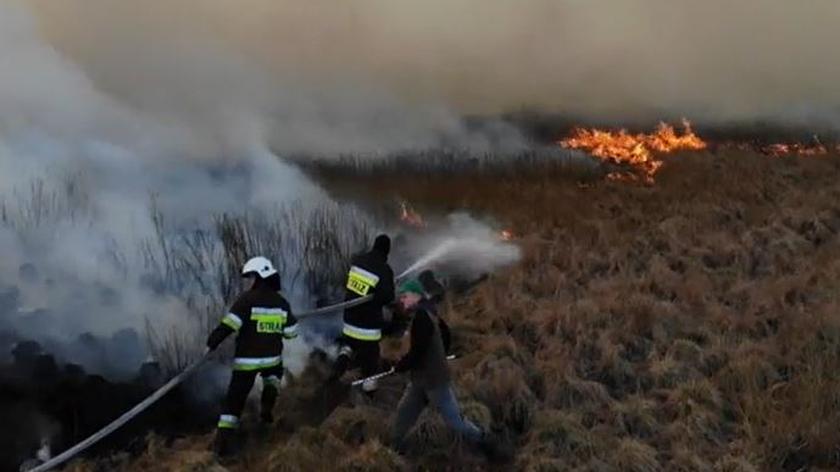 Pożar Biebrzańskiego Parku Narodowego (materiał z 24 kwietnia 2020 roku)