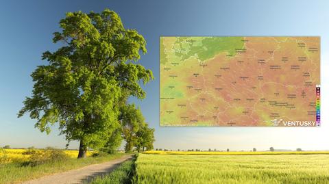 Prognoza temperatury na kolejne dni