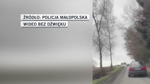 ania policja 