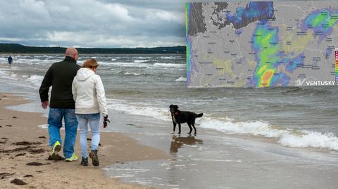 Prognozowana temperatura w kolejnych dniach