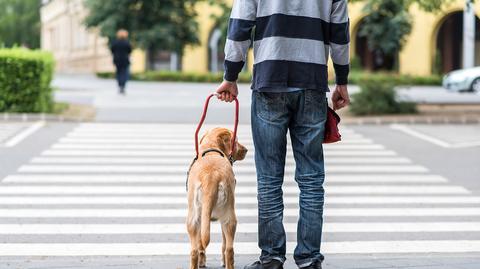 Apel w sprawie dostępności wyborów dla osób z niepełnosprawnościami 