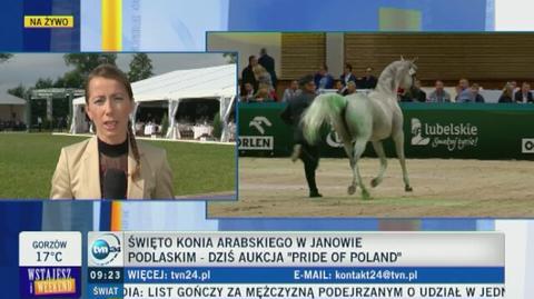 Wielka aukcja koni arabskich "Pride od Poland". 