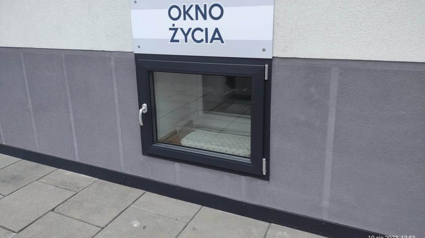 Szczeniaki i małe koty porzucone w Łodzi