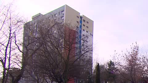1801 drzewa