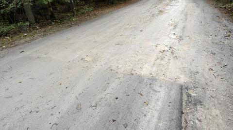 Nowy asfalt na ulicy Grotnickiej w Zgierzu kończy się w środku lasu