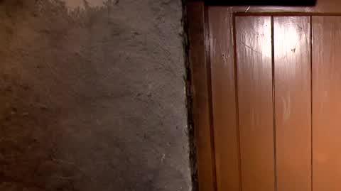1709N355XR PIS DNZ WIECZOREK