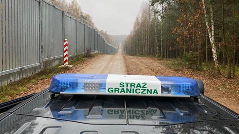 W Puszczy Białowieskiej Straż Graniczna znalazła szczątki i ciało mężczyzny 