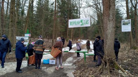Wiosną społecznicy zorganizowali happening w obronie lasu