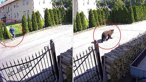 Niedźwiedź biegł przez miasto, kobieta wzięła psa na ręce i zaczęła uciekać