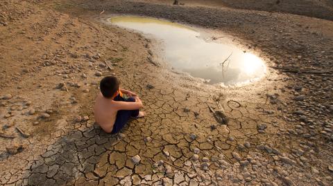 Zmiany klimatyczne