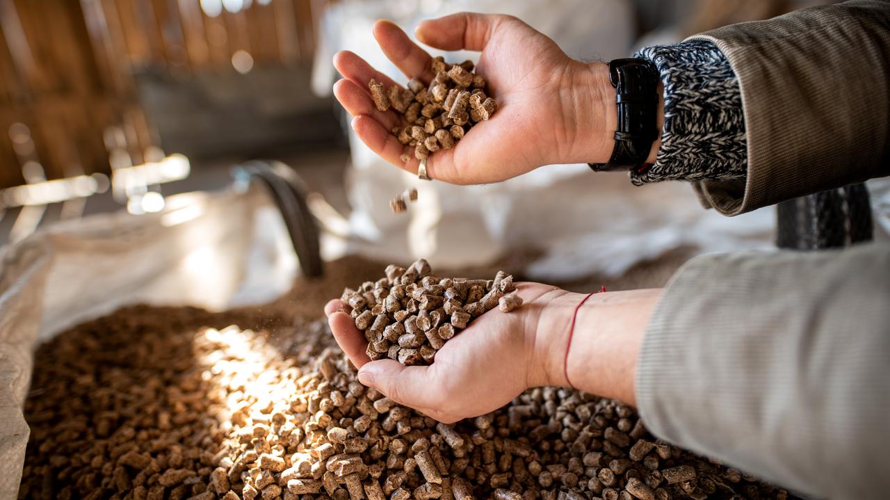 UOKiK: pellet drożeje przez rosnący popyt i ograniczoną podaż