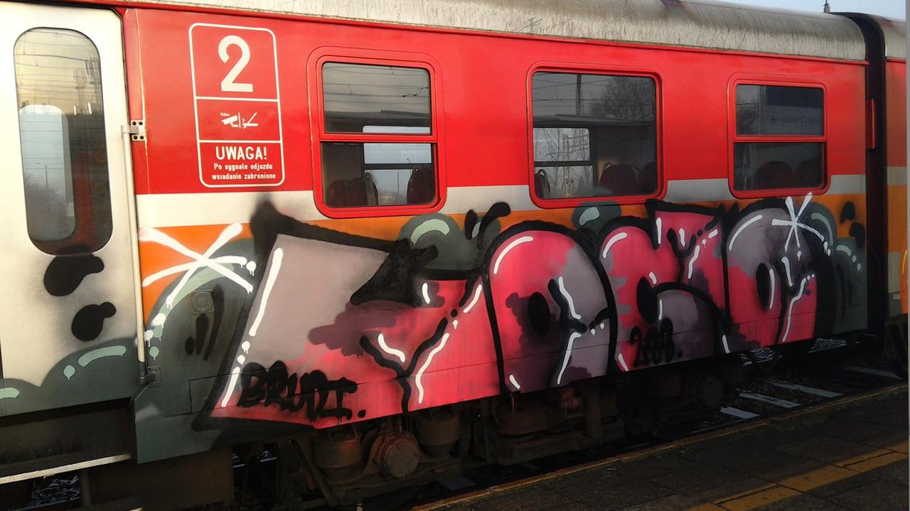 Graffiti na pociągach, wiaduktach i domach. Podejrzani usłyszeli po 15 zarzutów