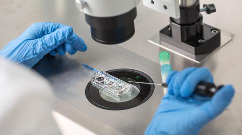 In vitro