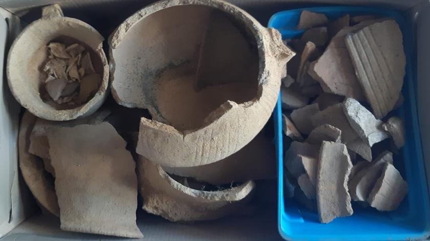 Odkrycie grobów ciałopalnych kultury łużyckiej w Tucholi Żarskiej