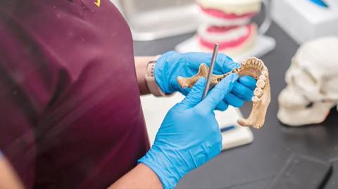 Dentyści badają zęby 500-letnich czaszek
