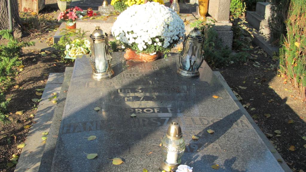 Grób Ludwika Hirszfelda