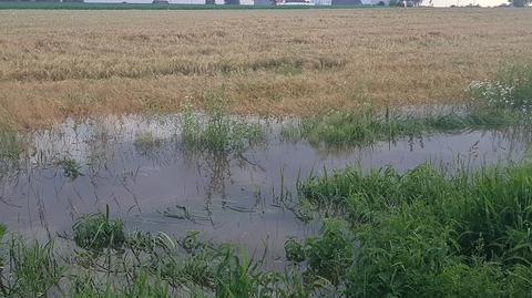 Bagno Wizna. Rolnicy tłumaczą, że jeśli rowy nie będą udrażniane to na ich łąkach wciąż będzie stała woda 