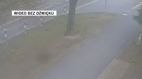 Policja Lubuska