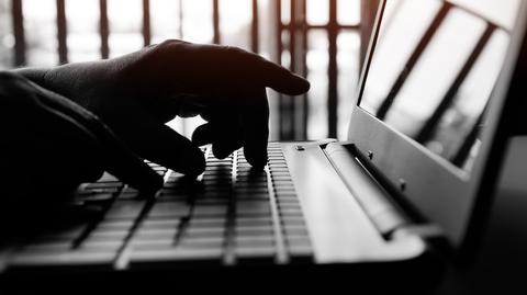Analityczka o oszustwach internetowych i działaniach hakerów