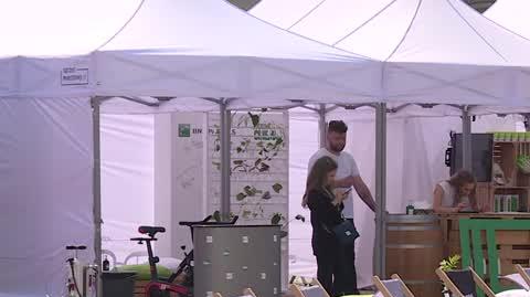 0309N154V FESTIWAL