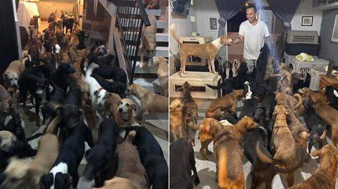 Schronił w domu 300 psów. Uratował je przed huraganem